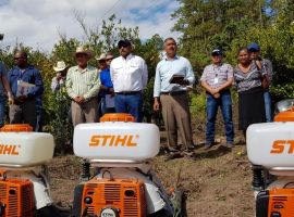 Lanzan programa piloto de control de plagas y enfermedades en cítricos